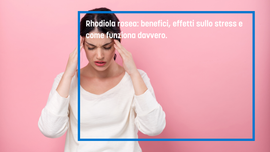 Rhodiola rosea: benefici, effetti sullo stress e come funziona davvero