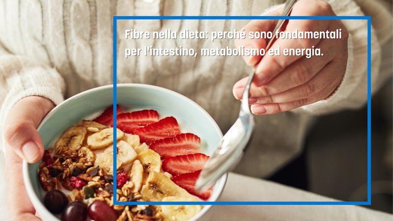 Fibre nella dieta: perché sono fondamentali per l'intestino, metabolismo ed energia.